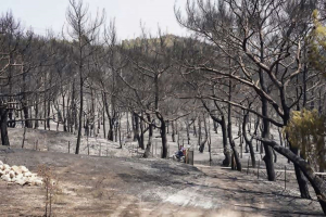 Υπέγραψε ο Σκρέκας την απόφαση Κατασκευής Αντιδιαβρωτικών και Αντιπλημμυρικών Έργων Καμμένων Εκτάσεων στις πληγείσες περιοχές Βατερών – Βρίσας – Σταυρού