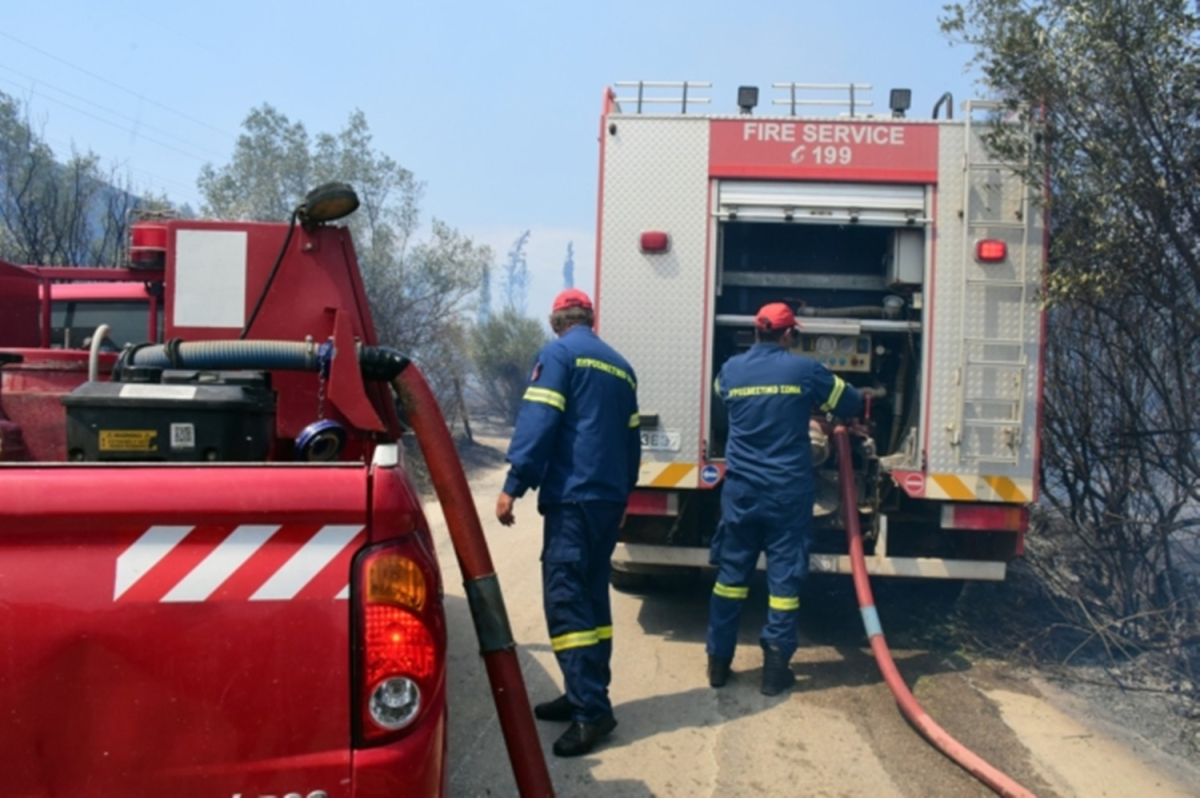 Πυρκαγιά σε ελαιώνα έξω από τη Μόρια στη Λέσβο