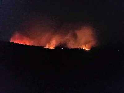 Λέσβος: Η Περιφέρεια «ξέχασε» να συστήσει την επιτροπή για τις αποζημιώσεις από τις φωτιές