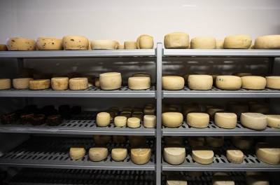 Λέσβος – Kραυγή αγωνίας από τους τυροκόμους: Ζητούν άμεση αναχώρηση των γαλακτοκομικών προϊόντων για να επαναλειτουργήσουν τα τυροκομεία