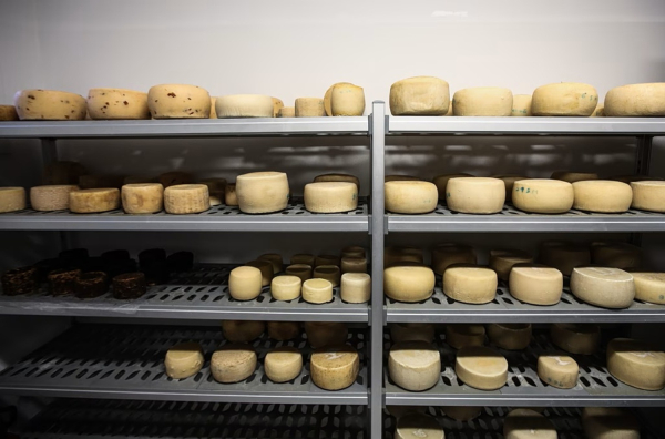 Λέσβος – Kραυγή αγωνίας από τους τυροκόμους: Ζητούν άμεση αναχώρηση των γαλακτοκομικών προϊόντων για να επαναλειτουργήσουν τα τυροκομεία