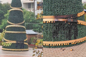 Χίος: Αποπειράθηκαν να κάψουν το χριστουγεννιάτικο δέντρο της πόλης (pics)