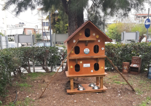 Υλοποίηση δράσης μαζικών στειρώσεων αδέσποτων γατών από τον Δήμο Μυτιλήνης με την συνδρομή εθελοντών