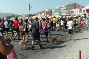 Μυτιλήνη: Αγώνας Δρόμου για τα Αδέσποτα Ζώα-Stray Animals Run 2022