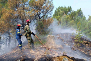 Δαδιά: Μικρότερη από ό,τι είχε αρχικά εκτιμηθεί η περιβαλλοντική ζημιά - Δείτε χάρτες