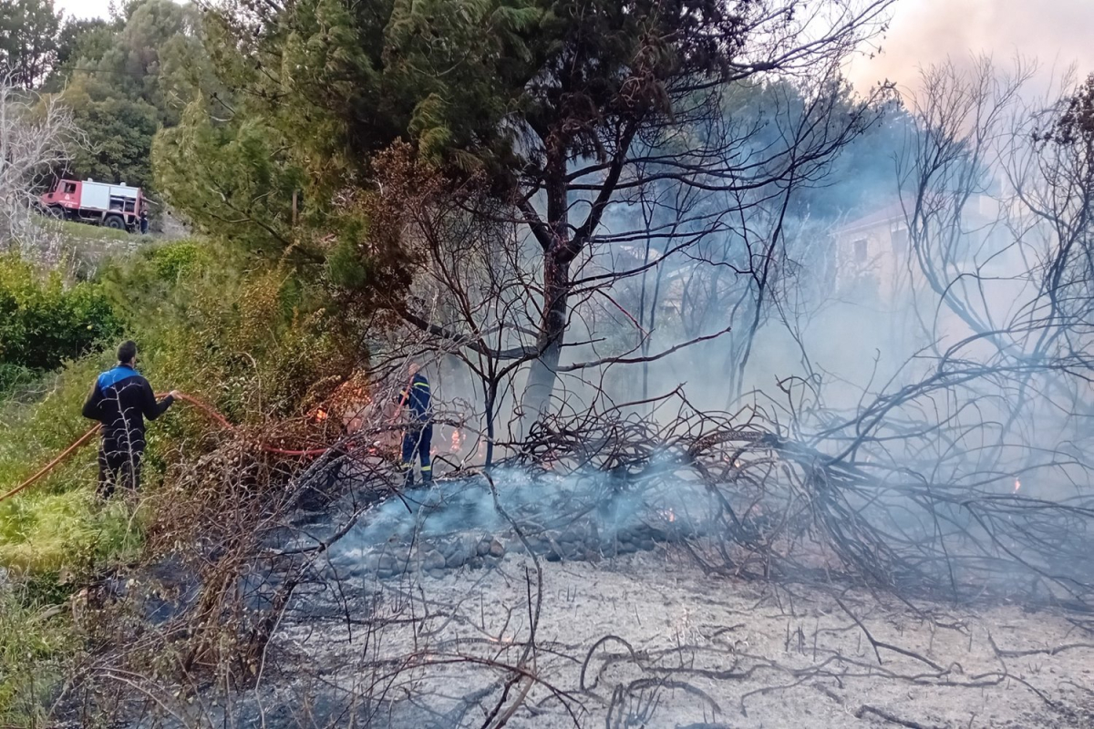 Φωτιά στη Σάμο: Καίγεται δασική έκταση - Μεγάλη επιχείρηση της πυροσβεστικής