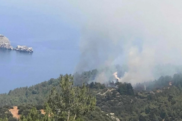 Χίος: Φωτιά στο βόρειο τμήμα του νησιού (pics)