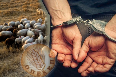 Σάμος: Σύλληψη νεαρού για την υπόθεση του ΟΠΕΚΕΠΕ