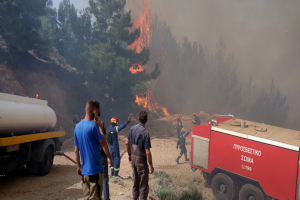 Στάχτη σε μια μέρα έγιναν 270 στρέμματα γης μετά τη φωτιά στη Χίο