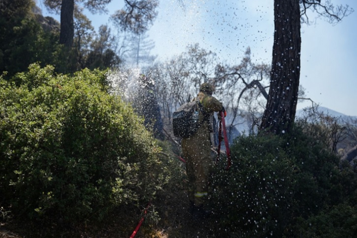 Λέσβος: Συνελήφθη 28χρονος για την πυρκαγιά στο Μανταμάδο