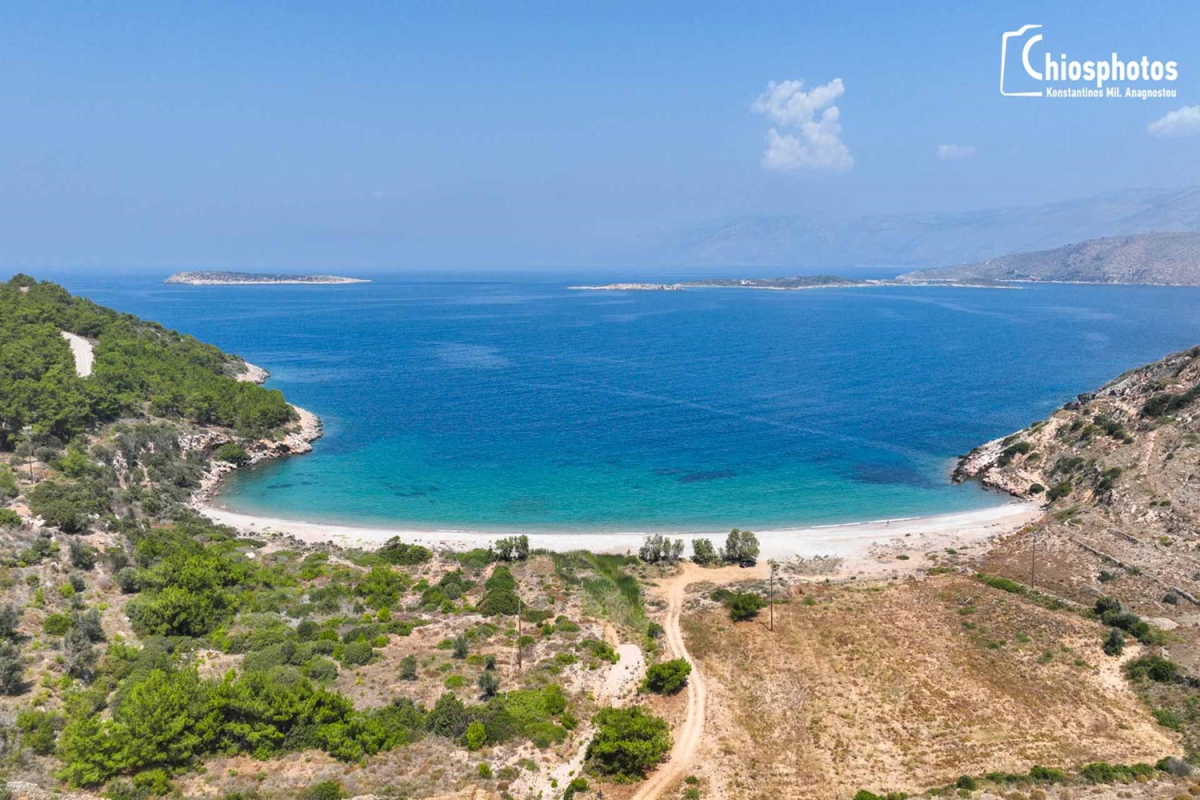 Ποταμοί: Η παραλία της δυτικής Χίου με τα γαλαζοπράσινα νερά και τα πεύκα μέχρι της θάλασσα