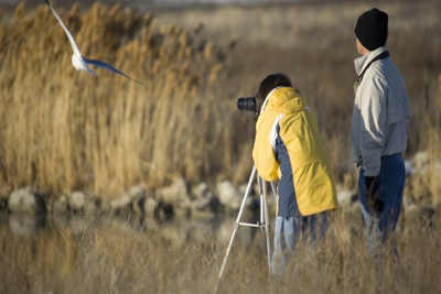 Οι birdwatchers καταφθάνουν στη Λέσβο!