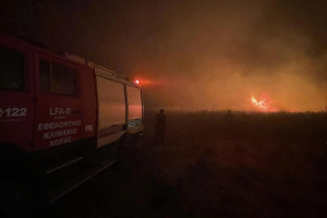 Οριοθετήθηκε η φωτιά στη Σάμο - Άμεση αντίδραση  (pics-vid)