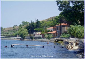 Η κληρονομιά του καλοκαιριού μάς ανήκει…