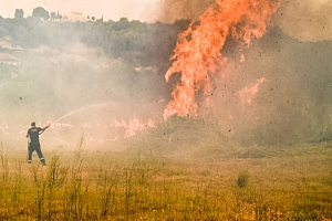 Λέσβος: Έσβησε άμεσα η πυρκαγιά στην διασταύρωση Αγ. Παρασκευής