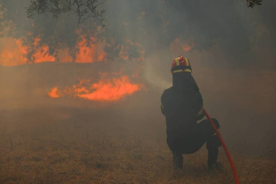 Τίθεται σε ισχύ το σχέδιο «ΙΟΛΑΟΣ» του Δήμου Μυτιλήνης για την αντιμετώπιση δασικών πυρκαγιών
