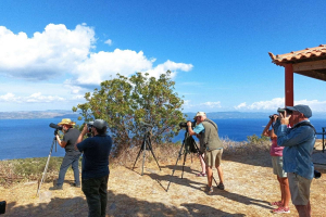 Πουλιά και παρατηρητές του Φθινοπώρου - Η Λέσβος ξανά στο προσκήνιο