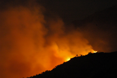 Συμβαίνει τώρα: Φωτιά στον Καρίωνα - Έκκληση για βοήθεια από την Ειδική Ομάδα Εθελοντών Λέσβου