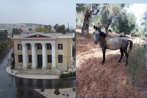 Στην Εισαγγελία Πρωτοδικών Μυτιλήνης η Κιβωτος: Η Περιφέρεια Βορείου Αιγαίου εδώ και 1+ χρόνο ΠΑΡΑΝΟΜΕΙ