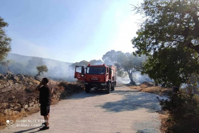 Λέσβος: Συνελήφθη ένα άτομο για τη φωτιά στη Νυφίδα