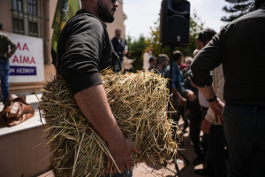 Πανελλαδικό «κύμα» συμπαράστασης: Στο πλευρό των κτηνοτρόφων της Λέσβου και η Π.Ο.Ε.-Ο.Τ.Α.