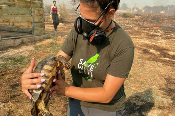 Χίος: Καθολική απαγόρευση κυνηγιού ζητούν 21 οργανώσεις, μετά τις φωτιές
