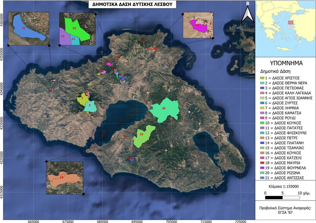 Τα δάση της Δυτικής Λέσβου αποκτούν προστασία!