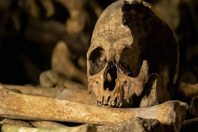 Η δολοφονία που εξιχνιάστηκε μετά από… 700 χρόνια – Η ανασκαφή που έκρυβε το τεράστιο μυστικό