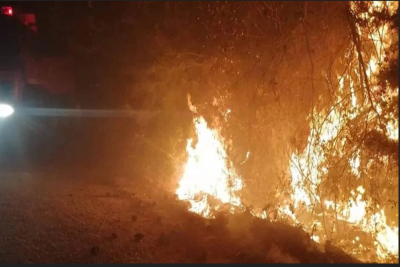 Λέσβος - Φωτιά στη Καριώνα: Κάηκαν 10 στρέμματα, τραυματίστηκε ένας πυροσβέστης (pics)