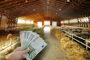 Πληρωμή 22,7 εκατ. ευρώ για αποζημιώσεις κτηνοτρόφων λόγω ευλογιάς και αφθώδους πυρετού