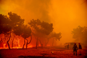 Λέσβος: Κάλεσμα για την δημιουργία εθελοντικής ομάδας δασοπυροσβεσης.