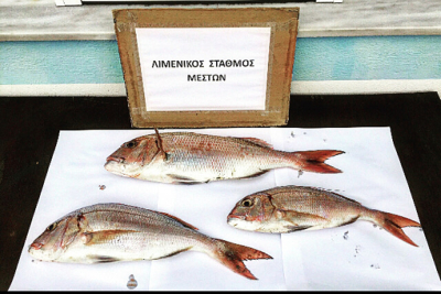 Παράνομη αλιεία στη Χίο