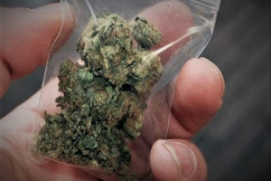 Τον έπιασαν στα πράσα με κάνναβη – Χειροπέδες σε 18χρονο στη Μυτιλήνη