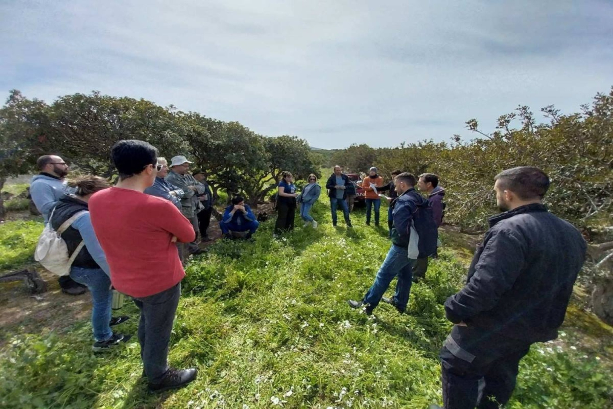 Χίος: «Μαστιχόδεντρα: Διασφαλίζοντας το μέλλον ενός εθνικού προϊόντος»
