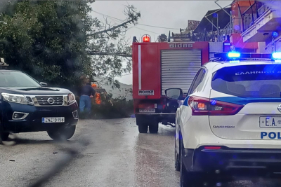 Λέσβος: Ζημιές σε σταθμευμένα αυτοκίνητα από πτώση δέντρου (pics)