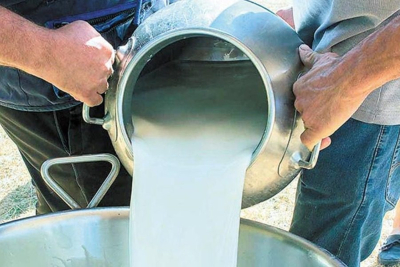 Λέσβος: «Deal» για το γάλα της Αγίας Παρασκευής σε τιμές Ελασσόνας