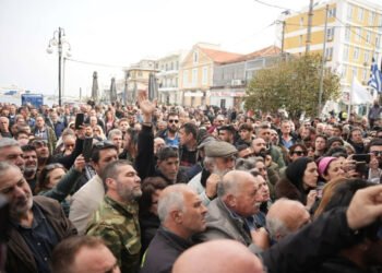 Η κατάρρευση της κυβερνητικής διαχείρισης του αφθώδους πυρετού στη Λέσβο συνεχίζεται