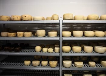 Λέσβος – Kραυγή αγωνίας από τους τυροκόμους: Ζητούν άμεση αναχώρηση των γαλακτοκομικών προϊόντων για να επαναλειτουργήσουν τα τυροκομεία