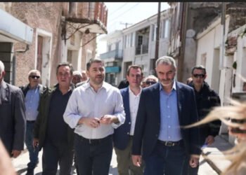 Ανδρουλάκης από Λέσβο: «Καταστροφή στο ζωικό κεφάλαιο και κυβερνητικές ευθύνες»