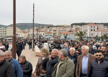 Εξελίξεις στο «μέτωπο» του αφθώδους πυρετού: Επείγουσα πρόσκληση Σχοινά σε κτηνοτρόφους και τυροκόμους της Λέσβου