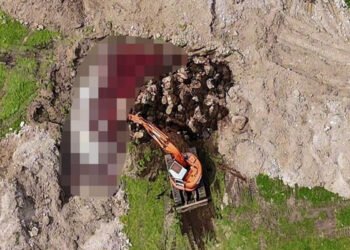 Λέσβος: Χιλιάδες νεκρά ζώα σε αυτοσχέδιους τάφους – Σοβαρά ερωτήματα για τη διαδικασία