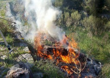 Λέσβος: Τον έπιασαν στα πράσα να καίει κλαδιά – Πρόστιμο και αυτόφωρο!