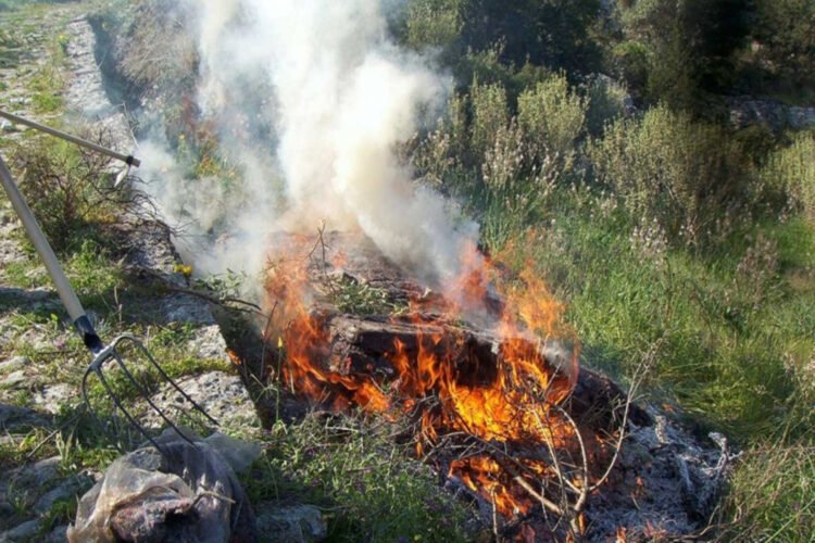 Λέσβος: Τον έπιασαν στα πράσα να καίει κλαδιά – Πρόστιμο και αυτόφωρο!