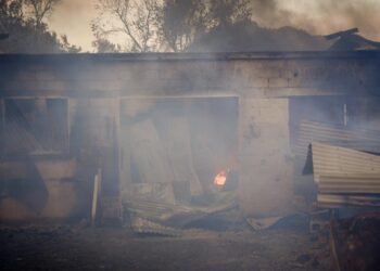 Μάχη με τις φλόγες στο Πλωμάρι της Λέσβου – Δύο τα μέτωπα της πυρκαγιάς – ΦΩΤΟ και ΒΙΝΤΕΟ