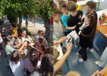 Μαθήματα αγάπης για τα αδέσποτα από τον Δήμο Μυτιλήνης στους μικρούς μαθητές