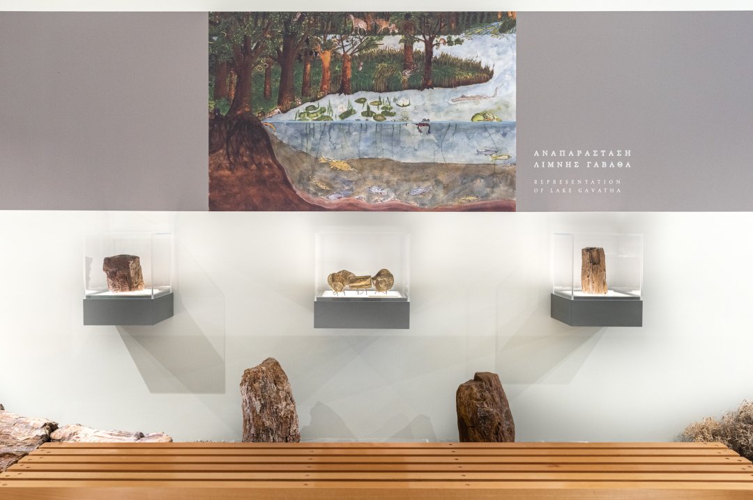 https://biscotto.gr/wp-content/uploads/2026/06/Lesvos-museum-010.jpg