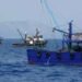 Καταστροφική και Παράνομη Αλιεία από 4 Τουρκικές Μηχανότρατες στα Ελληνικά Χωρικά Ύδατα μεταξύ Σάμου, Φούρνων και Πάτμου