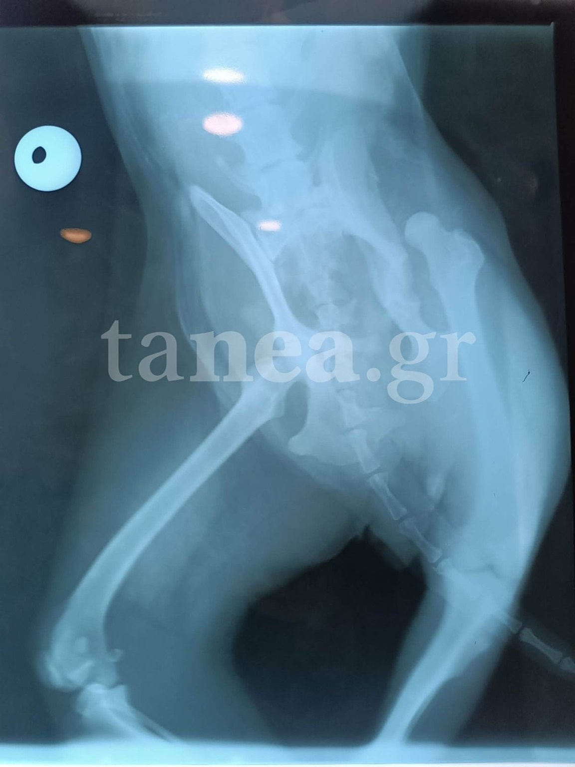 https://www.tanea.gr/wp-content/uploads/2026/05/WhatsApp-Image-2026-05-14-at-00.42.29-1152x1536.jpeg