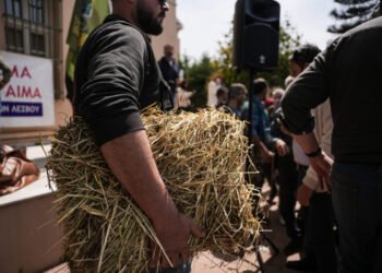 Πανελλαδικό «κύμα» συμπαράστασης: Στο πλευρό των κτηνοτρόφων της Λέσβου και η Π.Ο.Ε.-Ο.Τ.Α.
