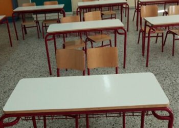Σιωπηλά θρανία στη Λέσβο: Οι μαθητές που δίνουν τη δική τους μάχη απέναντι στην κρίση της κτηνοτροφίας